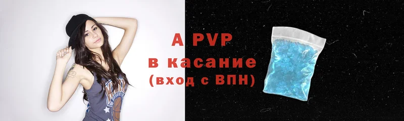 A-PVP СК КРИС  Старица 